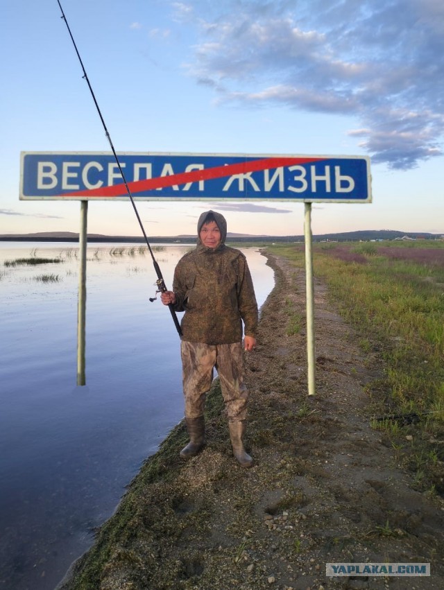 Профотожабте пожалуйста