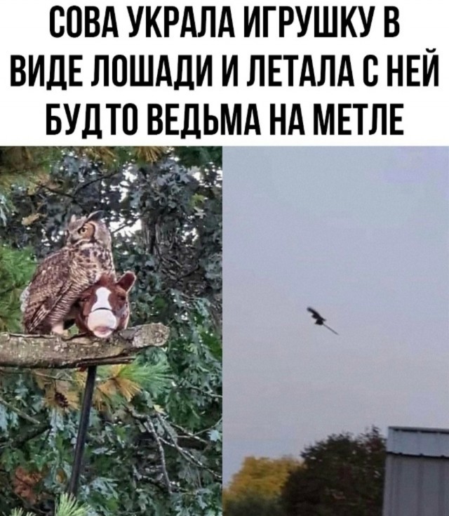 Картинки для деградации 58 (разной степени свежести)