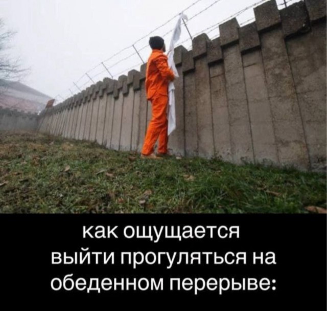 Еще только вторник …