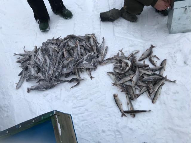 Морская рыбалка в Анапе