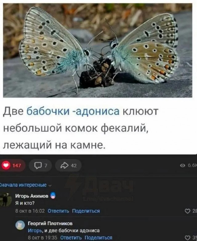 Понедельника картинки