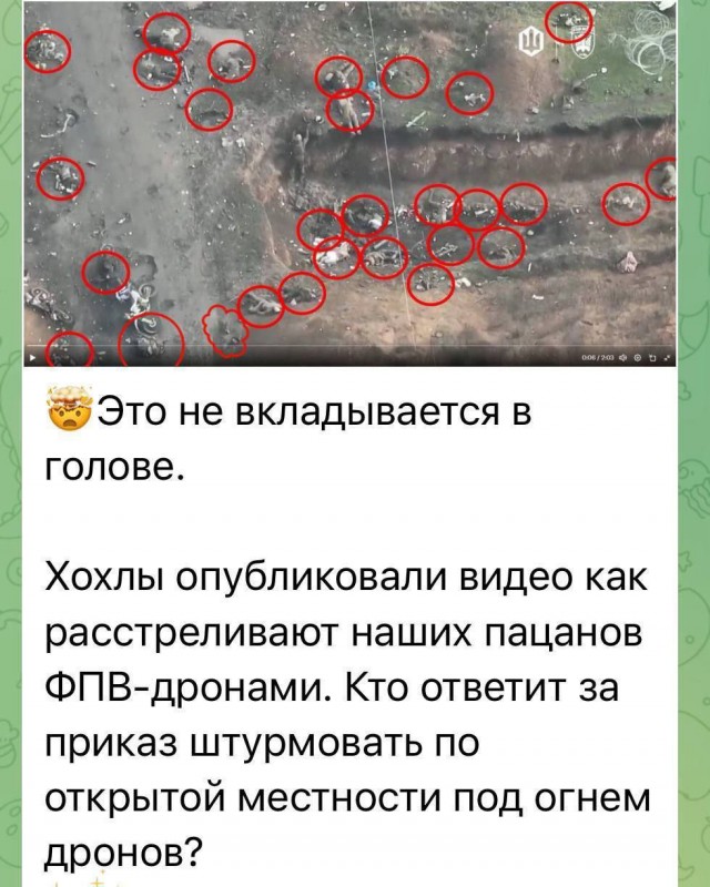 Статистика от Лаврова
