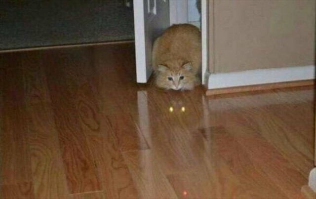 *зачёркнуто*