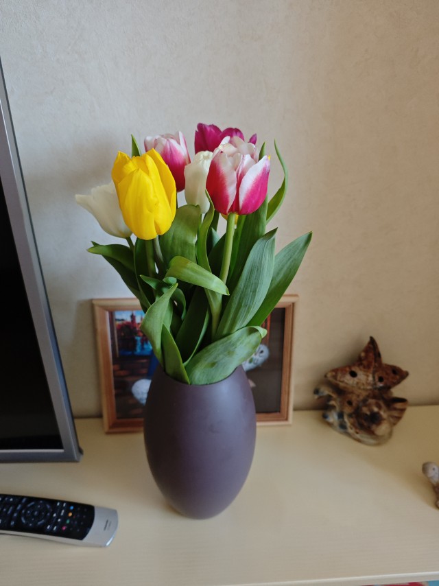 Снижение цен на тюльпаны не помогло цветочным магазинам заработать 8 Марта