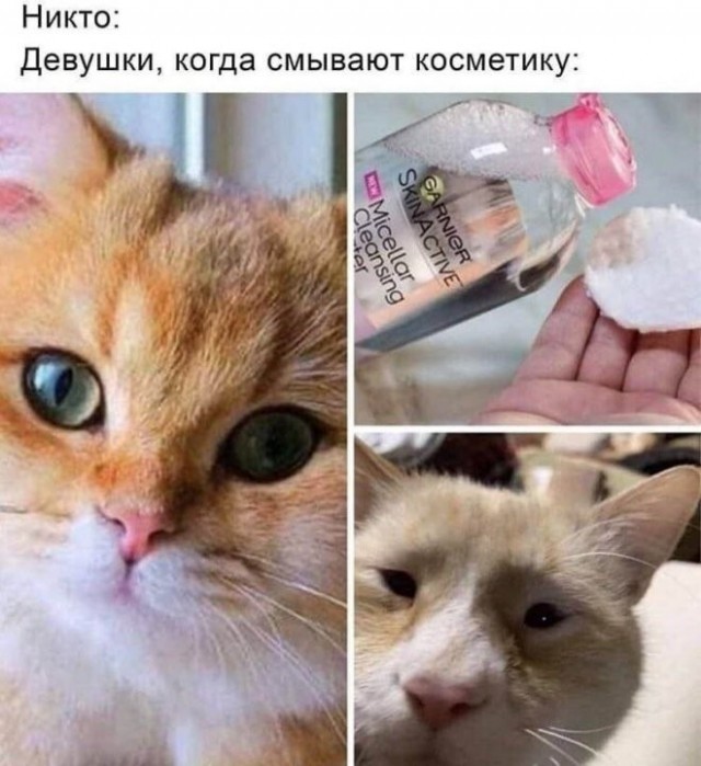 Веселые картинки в пятницу (17.04)