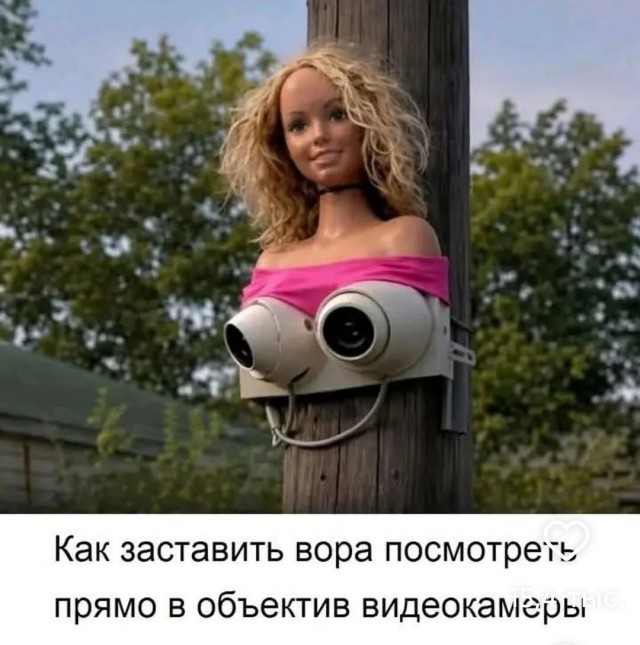 Веселые картинки в пятницу (08.05)