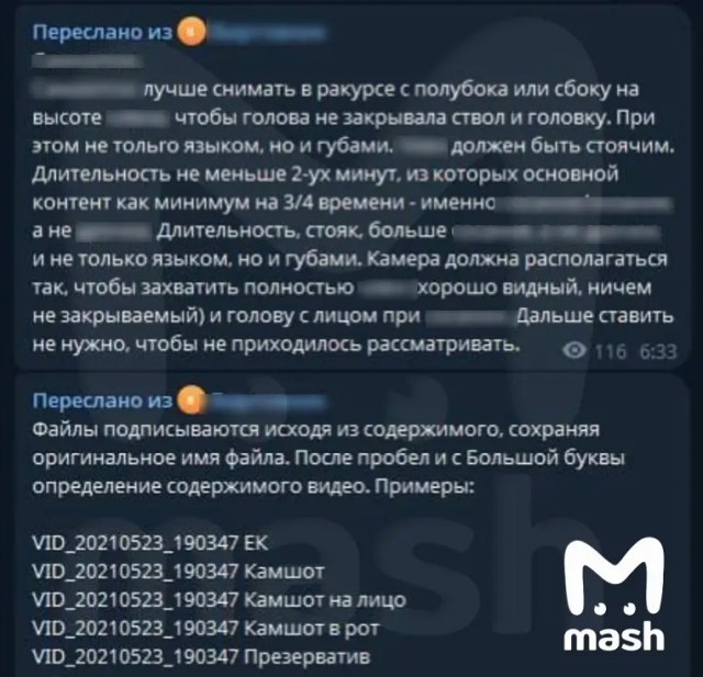 Интернет-комьюнити "Империя гусей" оказалось площадкой для педофилов со всей России, которые ищут детей для вымогательства интимок под видом околомузыкальной группы.