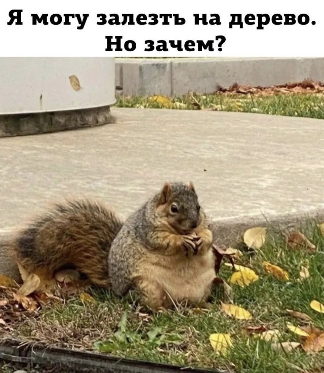 Веселое настроение в картинках 13.08.26