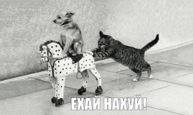 Недовольство