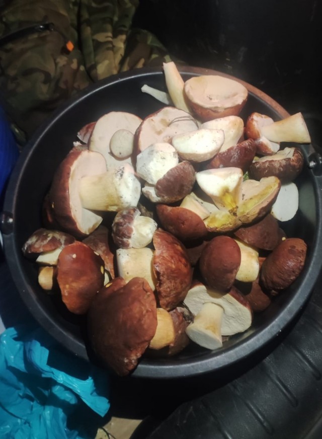 Грыбочки