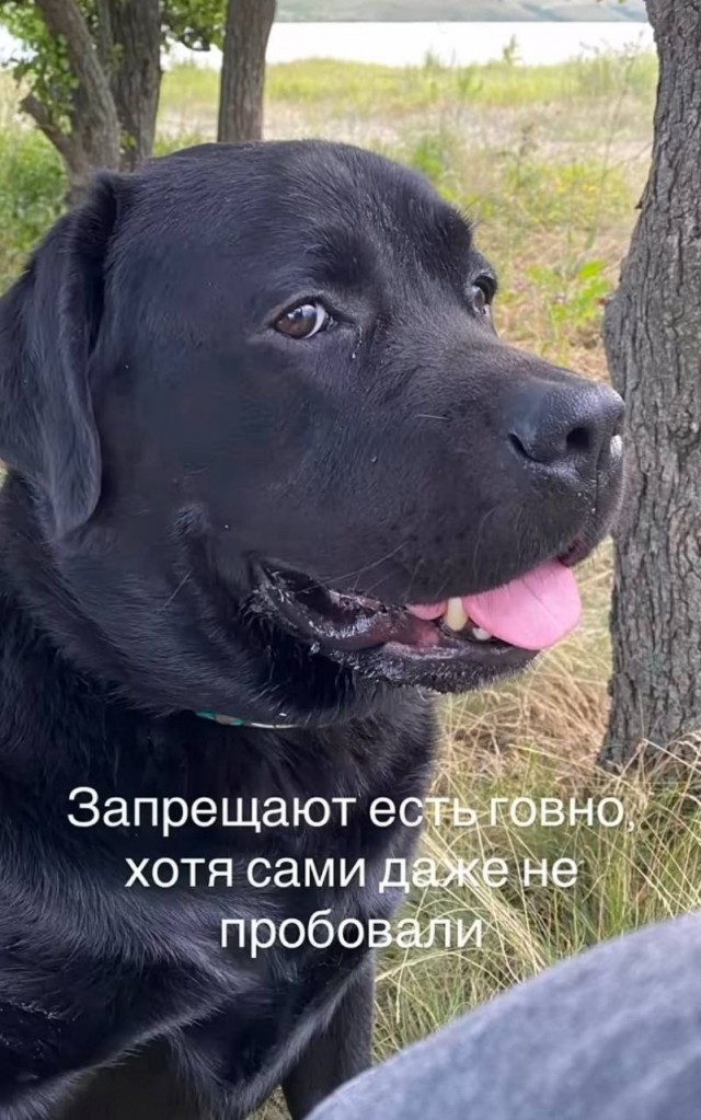 Картинки для деградации 283 (разной степени свежести)
