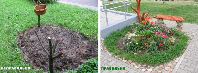 Правильно? Неправильно!