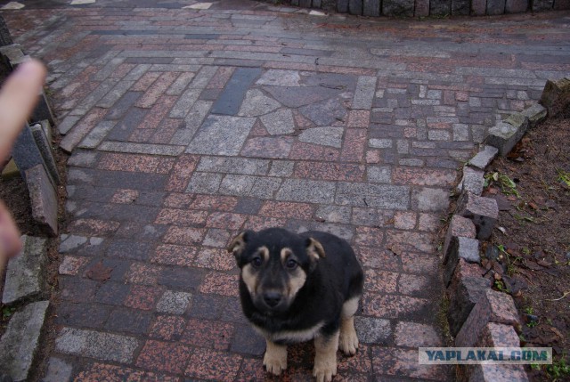 Беседка скромная и необычная...