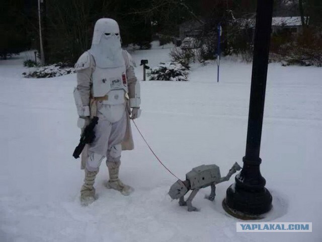 Сочинский "горячий" снег