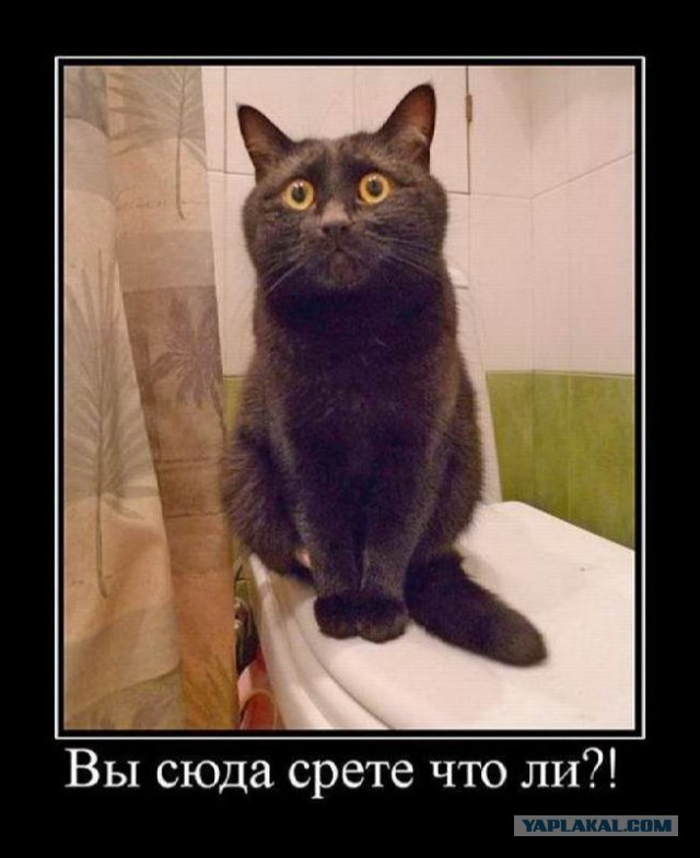 Сидушка от унитаза