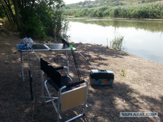 Как провести день, или сказка наяву!