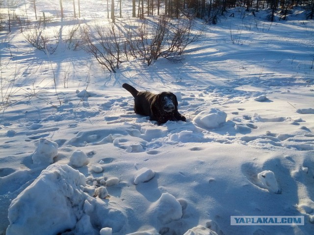 Позитивчик