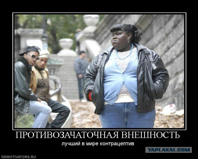 Вестник Соцсетей
