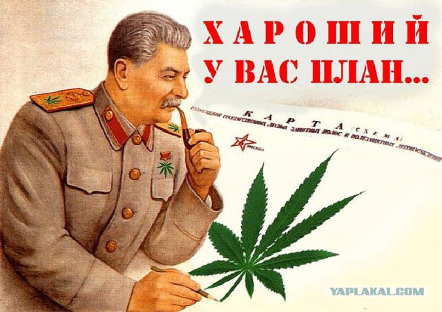 Ричард Брэнсон посоветовал Украине легализовать