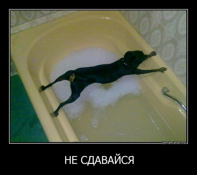 Вы хотите "демов"? часть 2-я