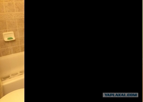 Скучно в туалете?