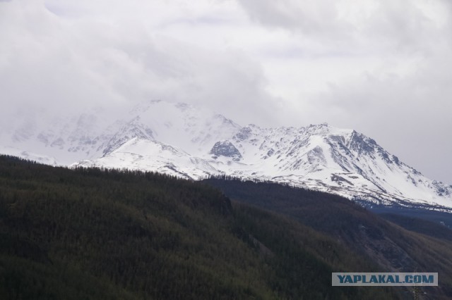 Путешествие по Алтаю в мае 2014 года