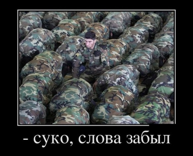 Смешные комментарии 31.01.2016