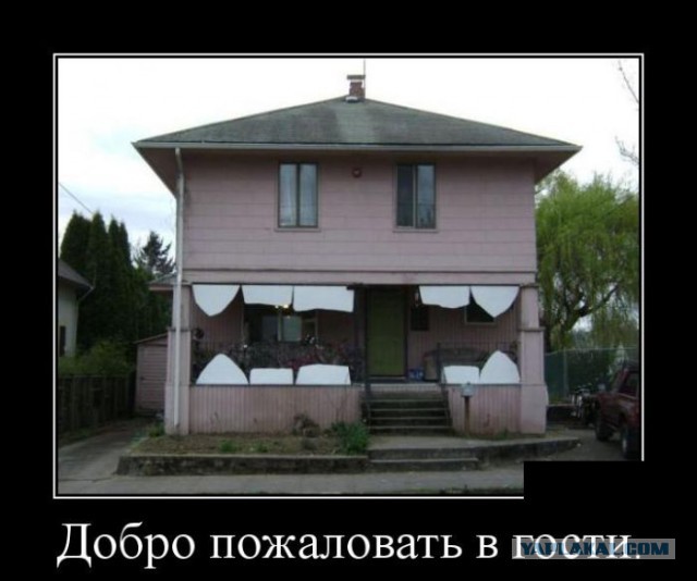 Они живые. Они смотрят на нас!