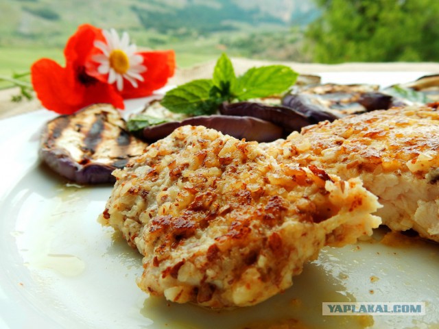 Мажорная грудка