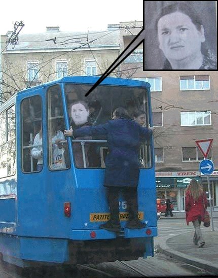 Фотожаба: Заяц на трамвае