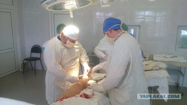 Что видят с рабочего места люди разных профессий