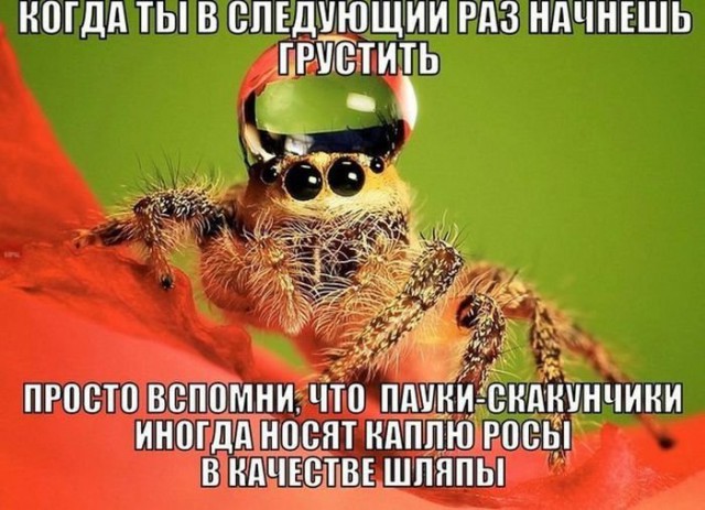 Подборка картинок