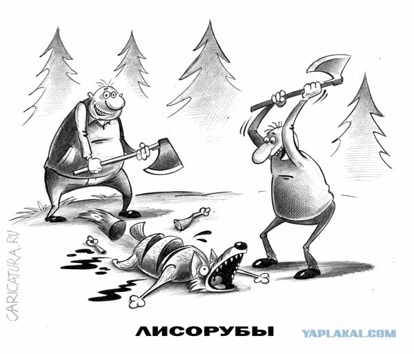 Юмор в картинках