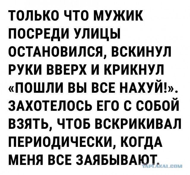 Забавные комментарии, шутки и фразы из этих ваших интернетов