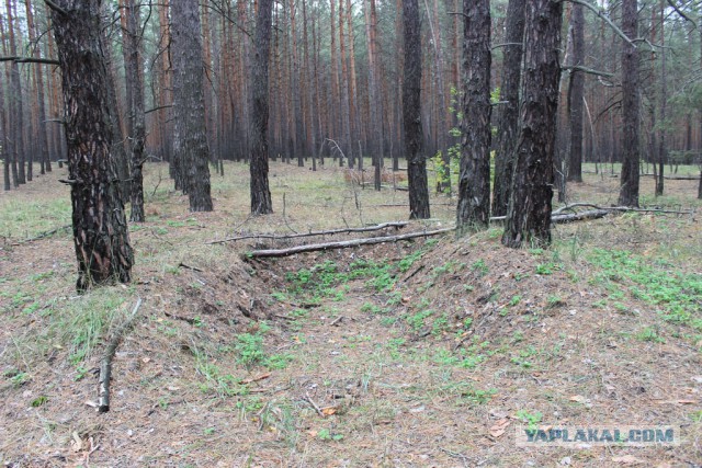 Святогорск, Соледар