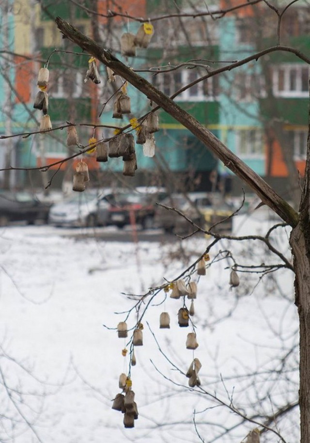 Временный пост. Всякое-разное