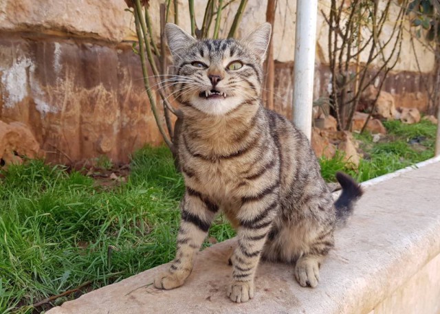 Наркоманских анекдотов с картинками