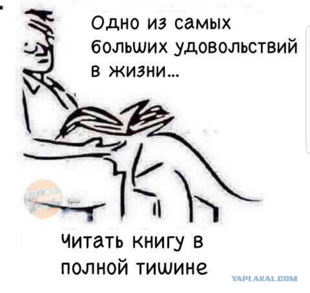35 оптических иллюзии, получившихся случайно, на которые хочется смотреть снова и снова