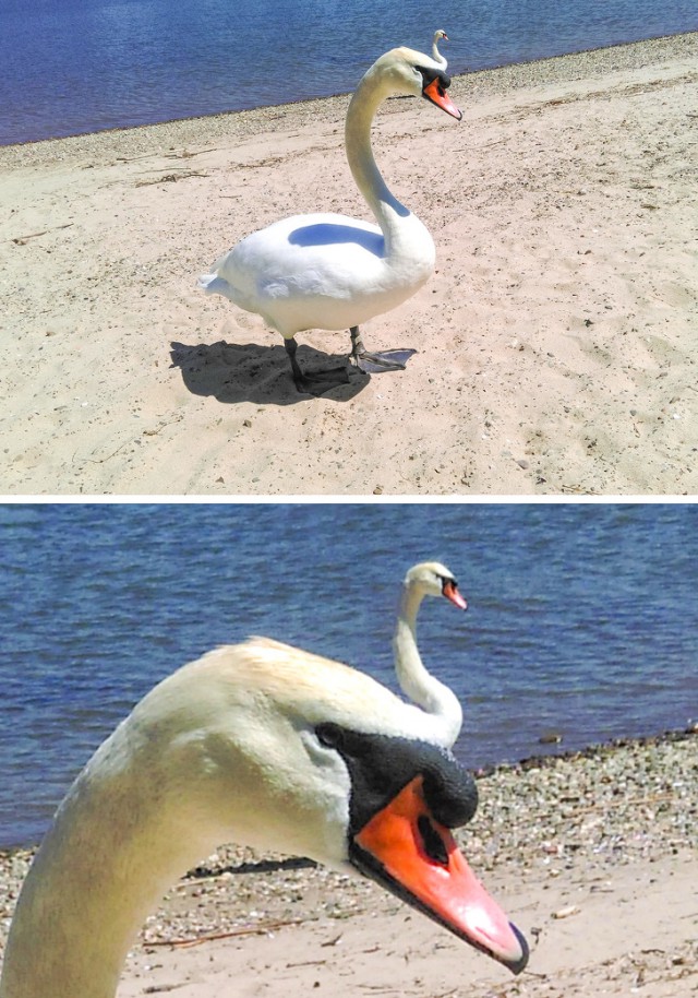 Фотографии, которые вводят в замешательство с первого взгляда