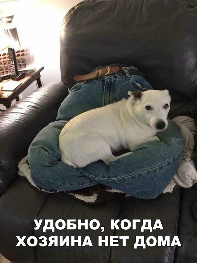 Нестандартный юмор