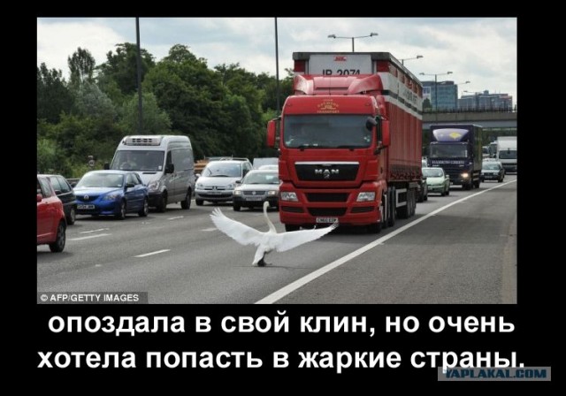 Стоять - бояцца!