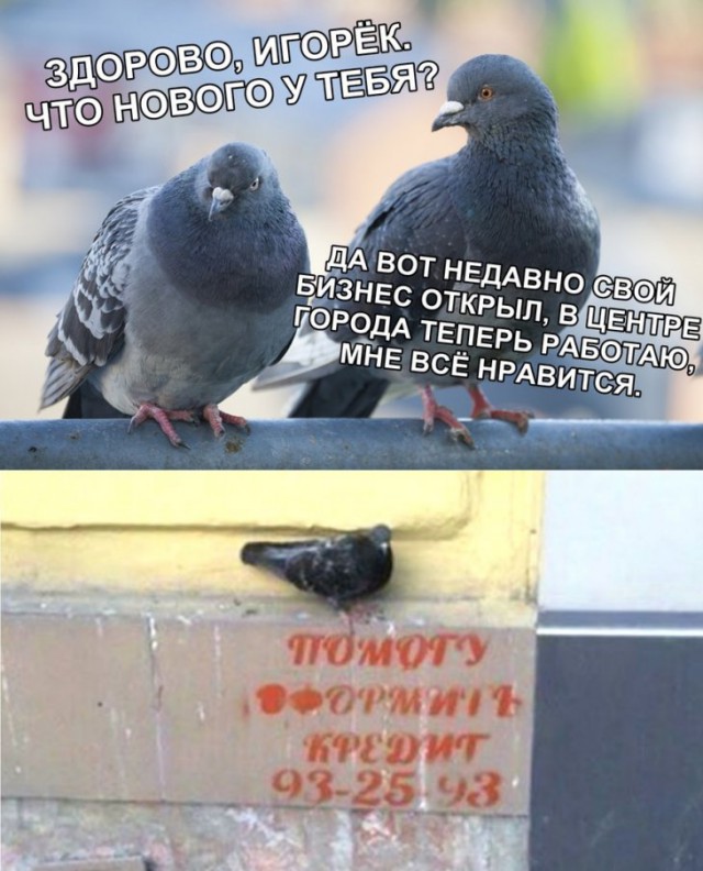 Немного картинок для настроения