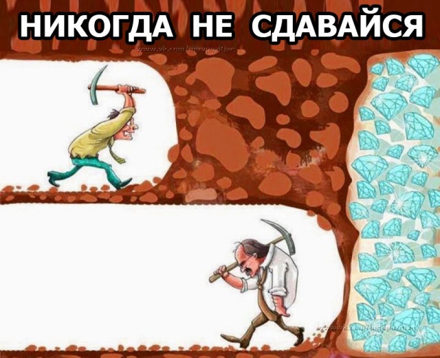 Забавные шутки, картинки и фразы из этих ваших интернетов