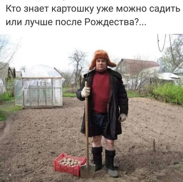 Подеградируем