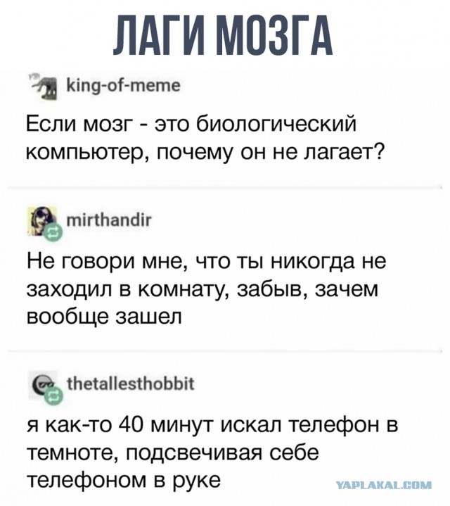 Забавные шутки, картинки и фразы из этих ваших интернетов