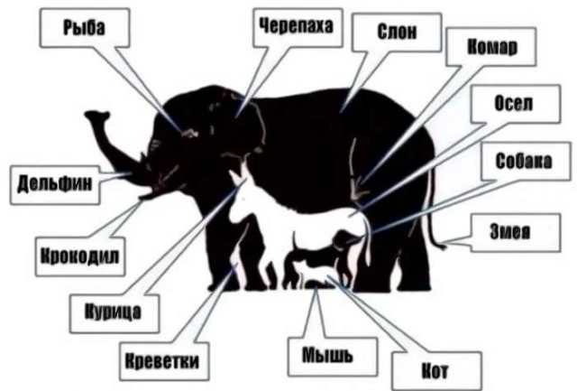Бредзона 10.03.2020