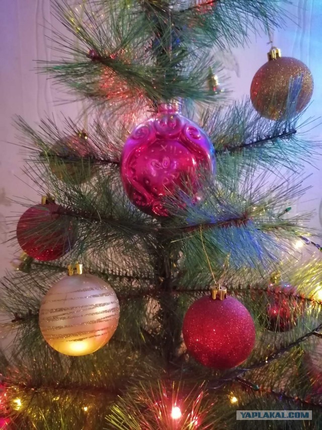 Дневник Домового. Предновогодний.