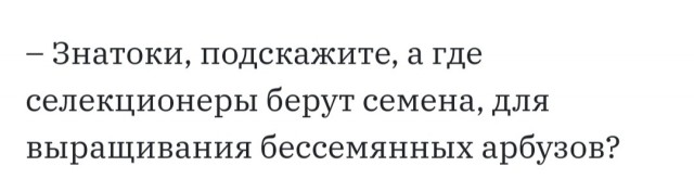 Бредзона 29.12.2020