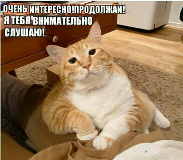 Разрешите войти?!