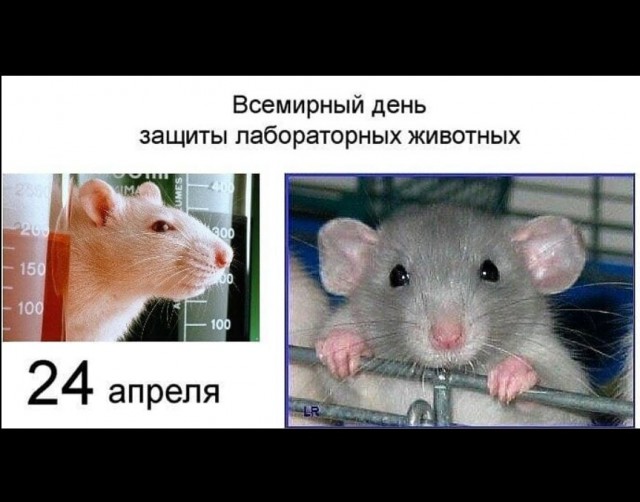 Аморальная деградация